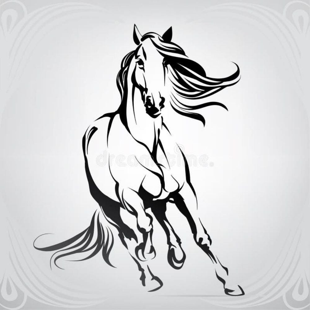 Horse tack and equipment